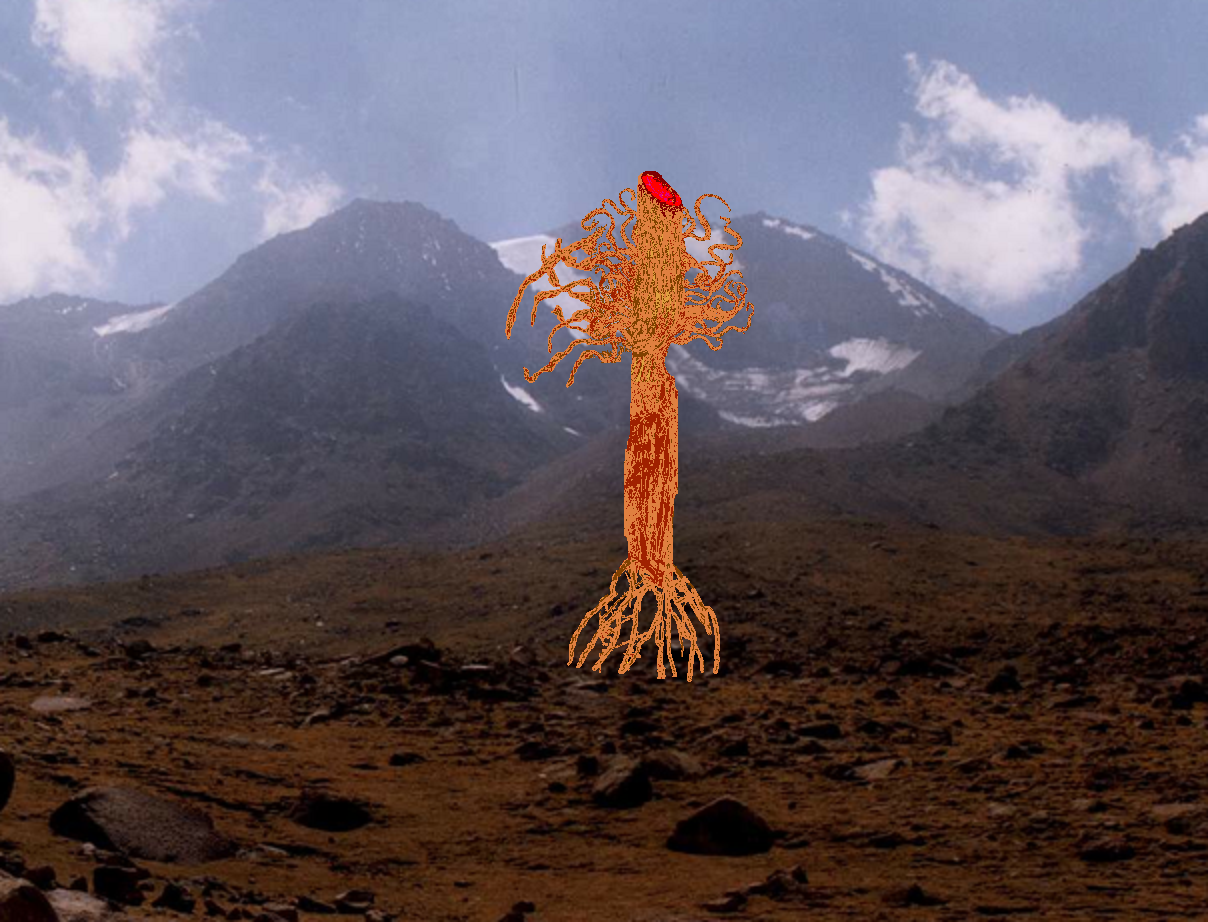 An Ogre in a lava field