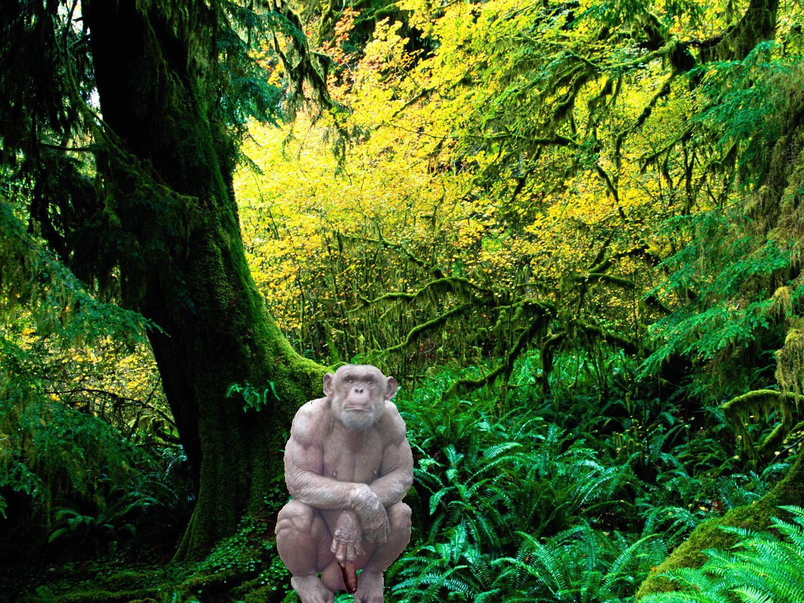 Australopithecus Regressi in Forest